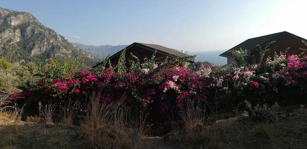 Kabak Armes Hotel Faralya